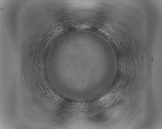 X0000089751393200706211515