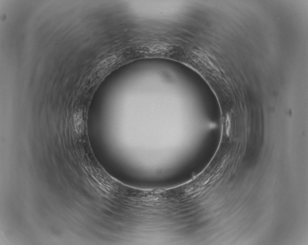 X0000089751395200706211515