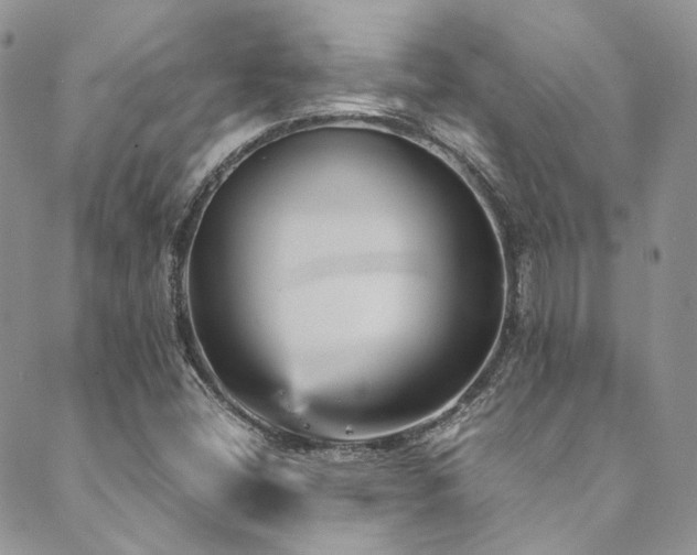X0000089751404200706211515