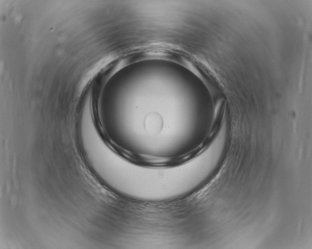 X0000089751410200706211515