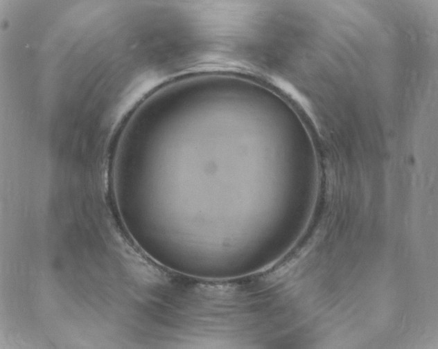 X0000089751415200706211515