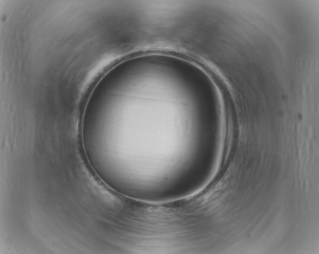X0000089751416200706211515