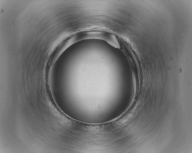 X0000089751422200706211516