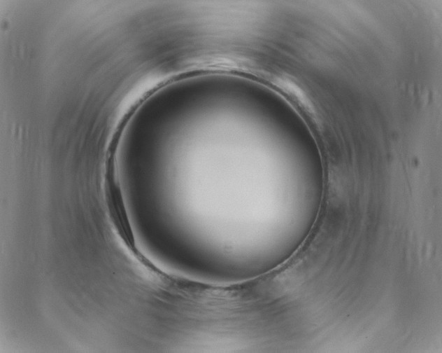 X0000089751424200706211516