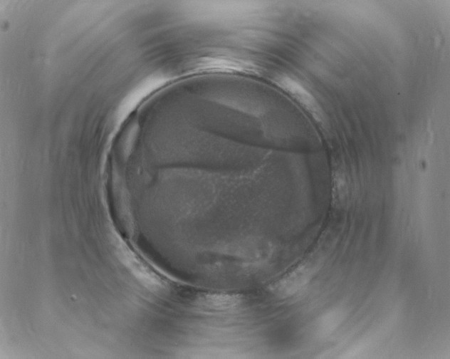 X0000089751427200706211516