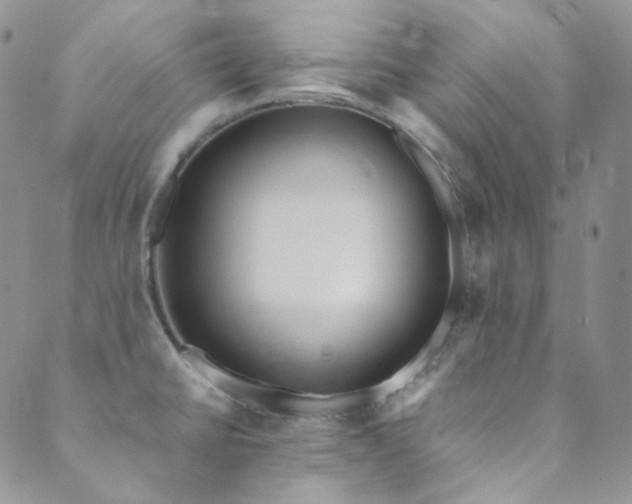 X0000089751430200706211516