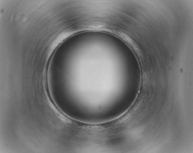 X0000089751432200706211516
