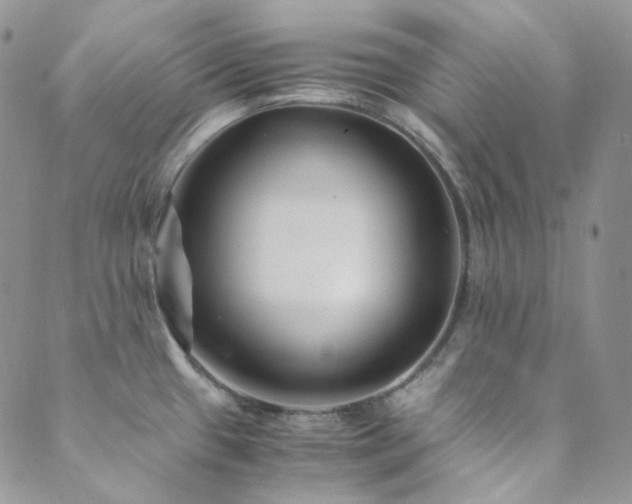 X0000089751433200706211516