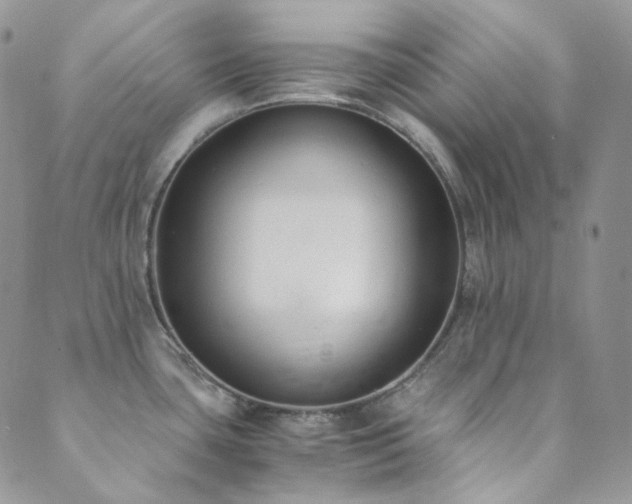 X0000089751435200706211516
