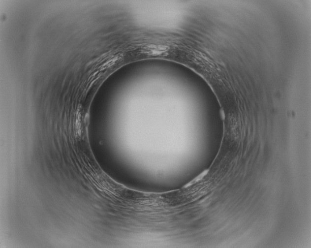 X0000089751442200706211515