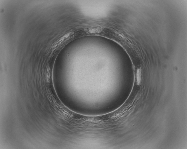 X0000089751443200706211515