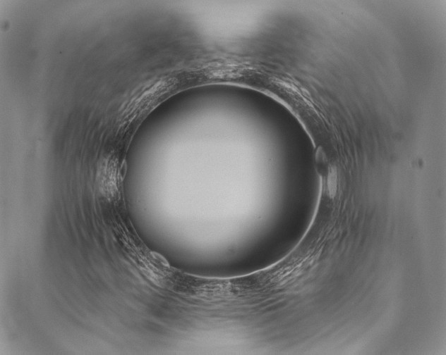 X0000089751444200706211515