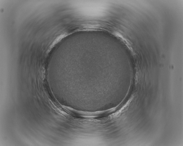 X0000089751449200706211515