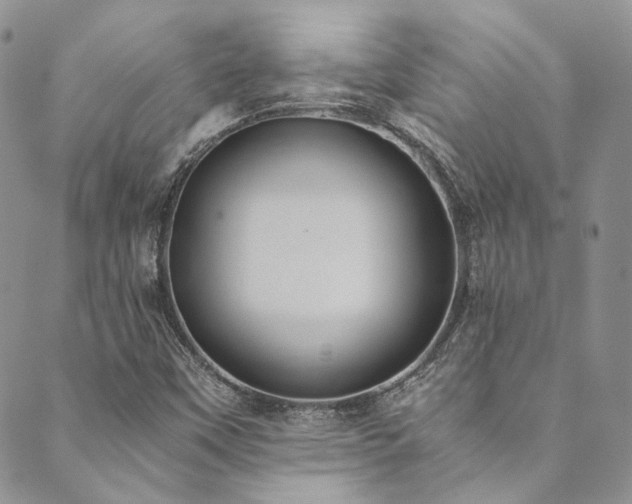 X0000089751451200706211515