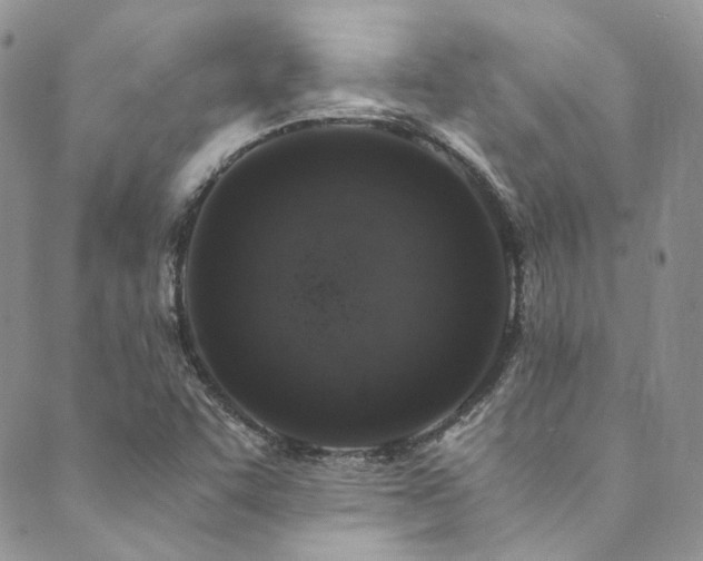 X0000089751455200706211515