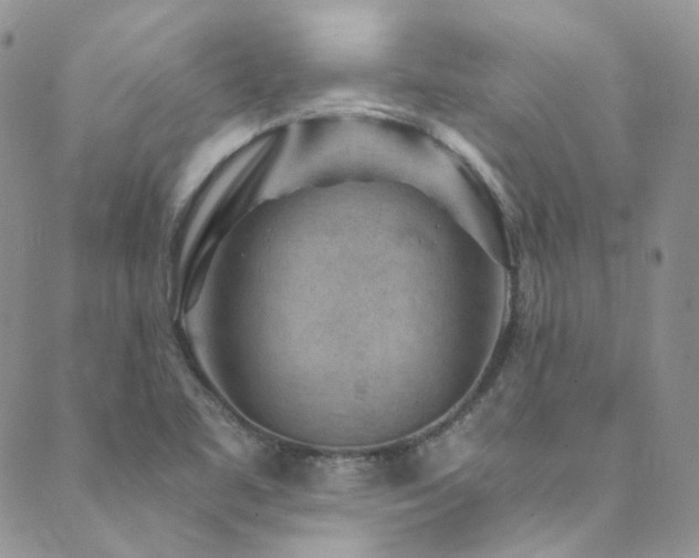 X0000089751461200706211515