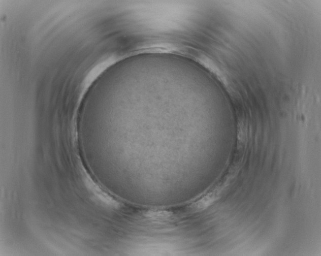 X0000089751466200706211515