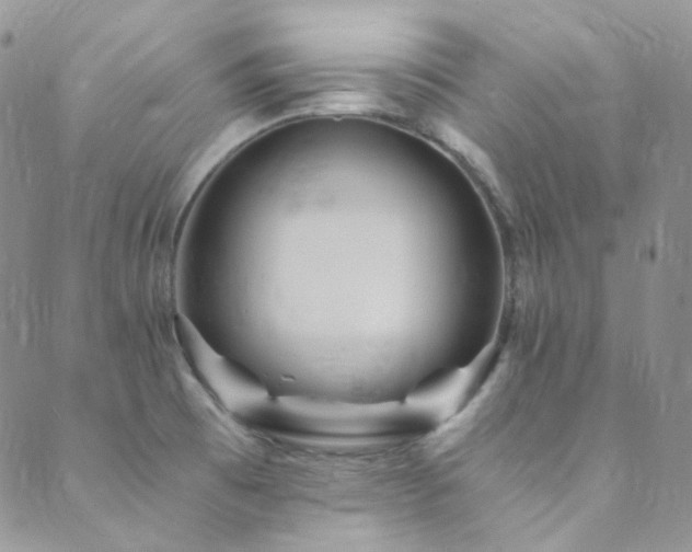 X0000089751473200706211515