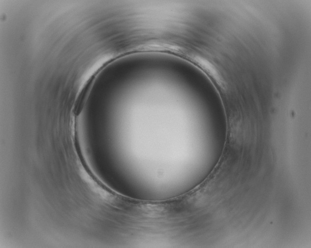 X0000089751476200706211514