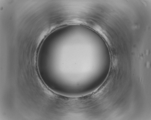 X0000089751477200706211514