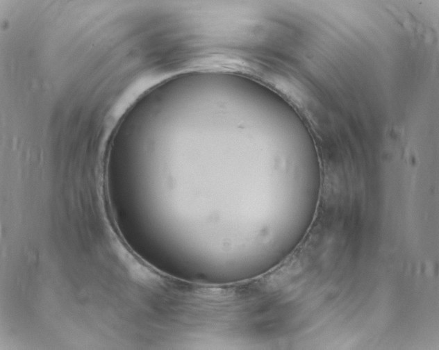 X0000089751478200706211514