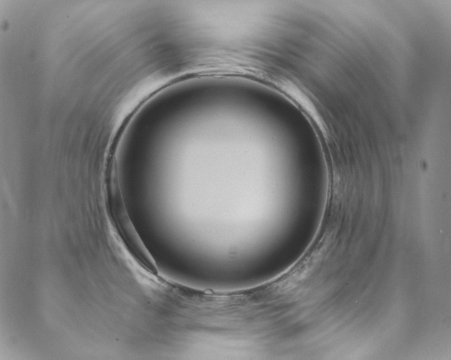 X0000089751485200706211514
