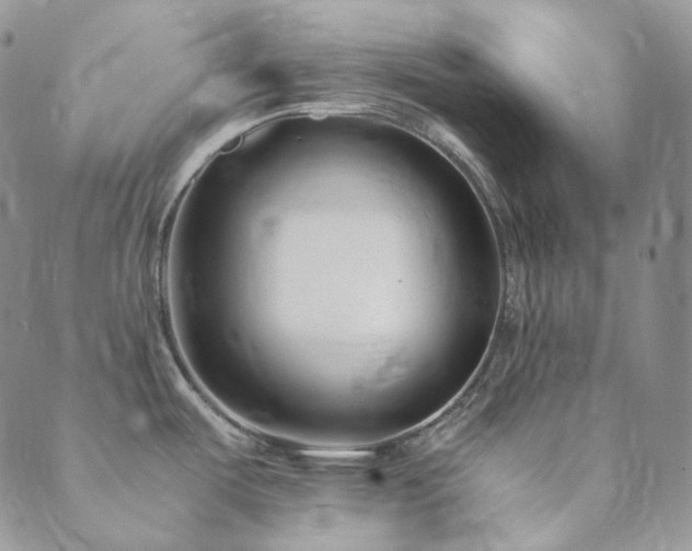X0000089751487200706211514