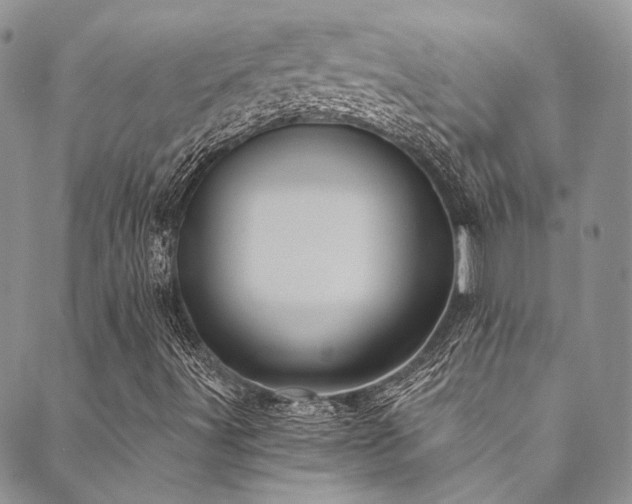 X0000089751491200706211514