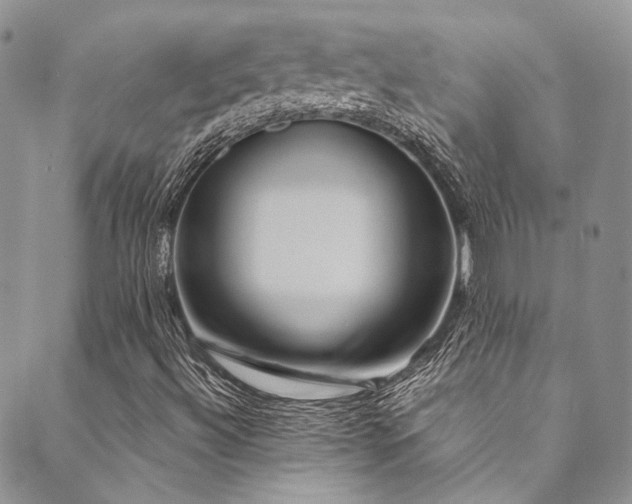 X0000089751492200706211514