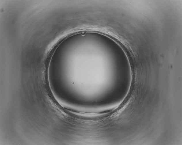 X0000089751502200706211514