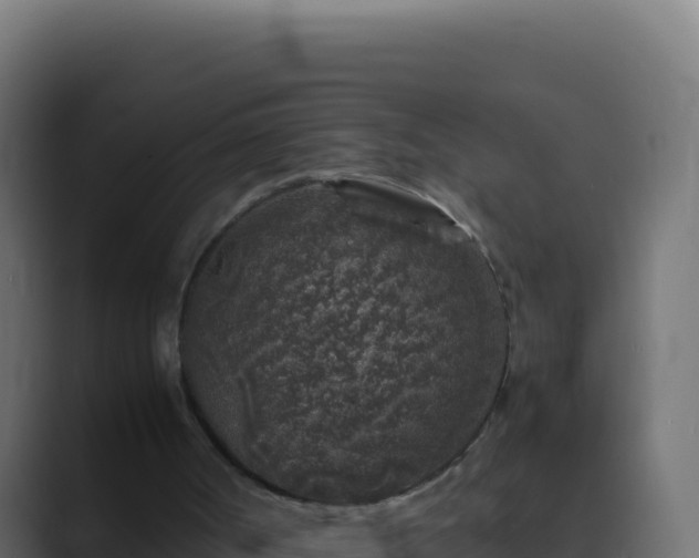 X0000089750002200706281634