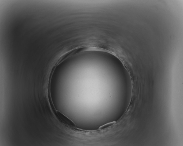 X0000089750003200706281634