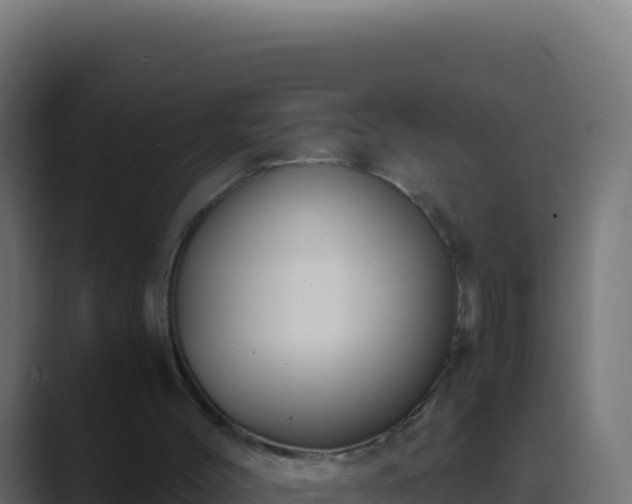 X0000089750004200706281634