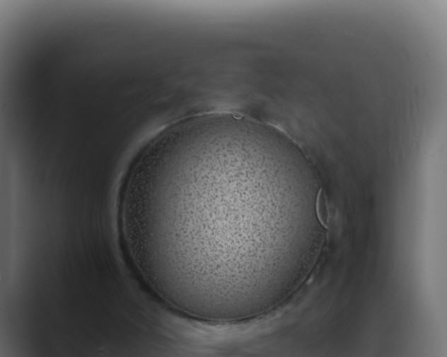 X0000089750006200706281634