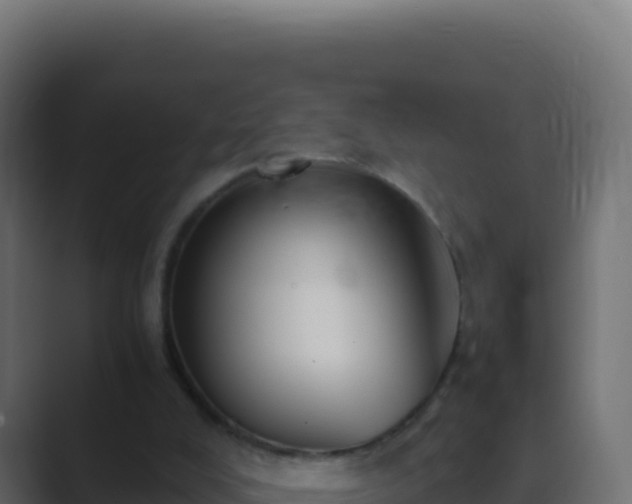 X0000089750008200706281634