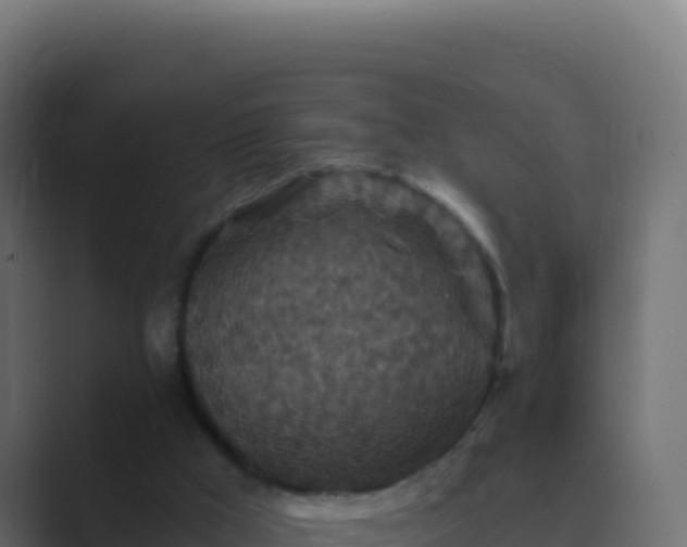 X0000089750009200706281634