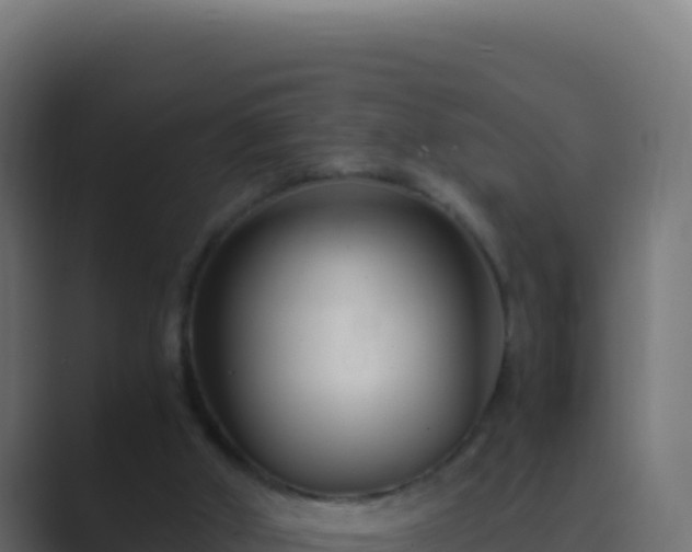 X0000089750010200706281634