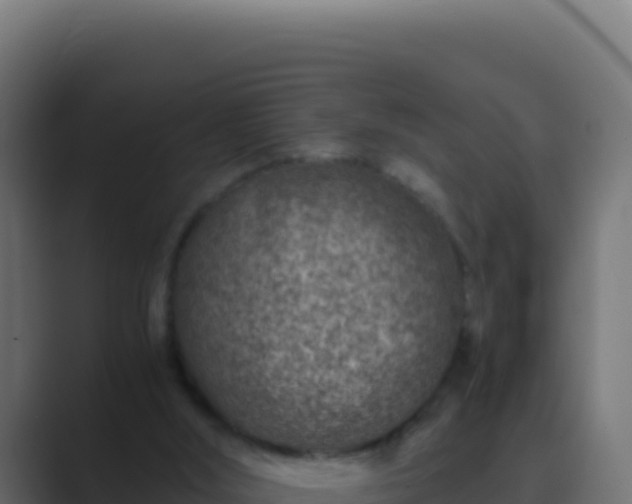 X0000089750012200706281634