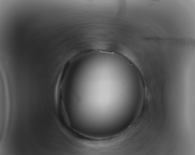 X0000089750013200706281634