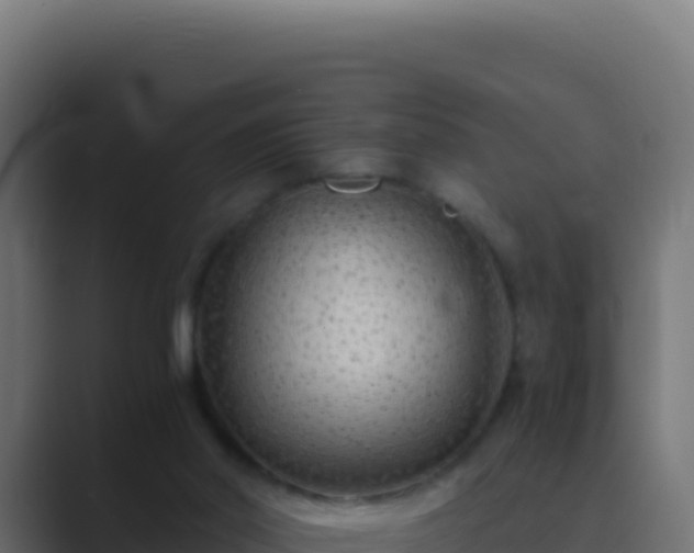 X0000089750014200706281634