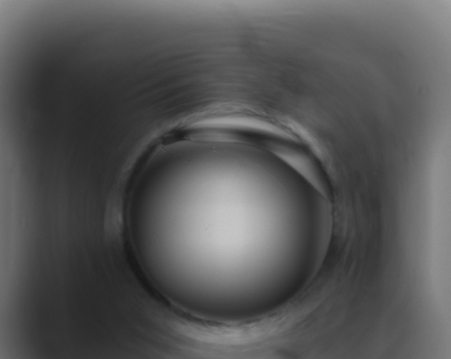 X0000089750015200706281633