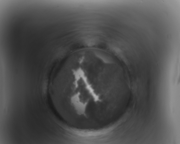 X0000089750018200706281633