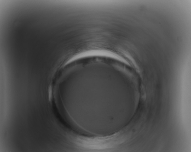 X0000089750019200706281633