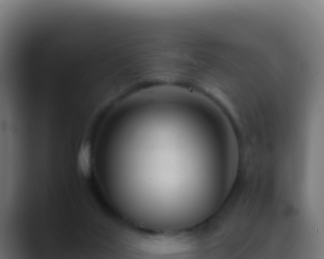 X0000089750020200706281633