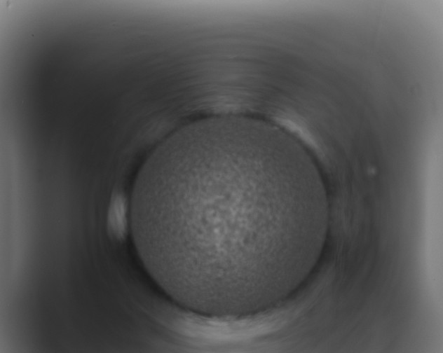 X0000089750022200706281633