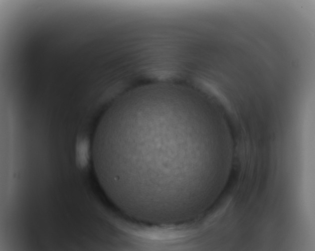 X0000089750024200706281633