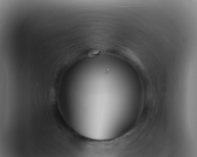 X0000089750025200706281633