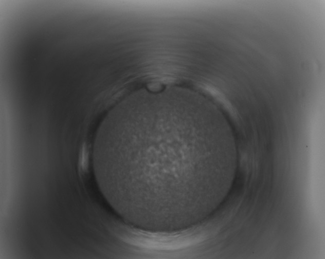 X0000089750026200706281633