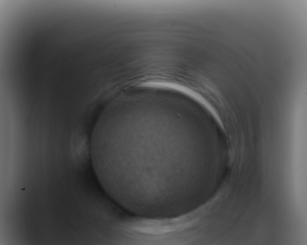 X0000089750029200706281633