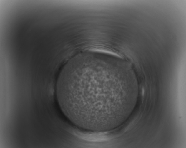 X0000089750032200706281633